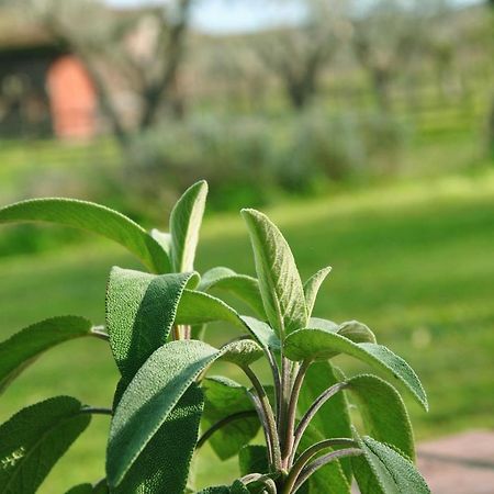 Agriturismo La Mandragola Relais โครโตเน ภายนอก รูปภาพ