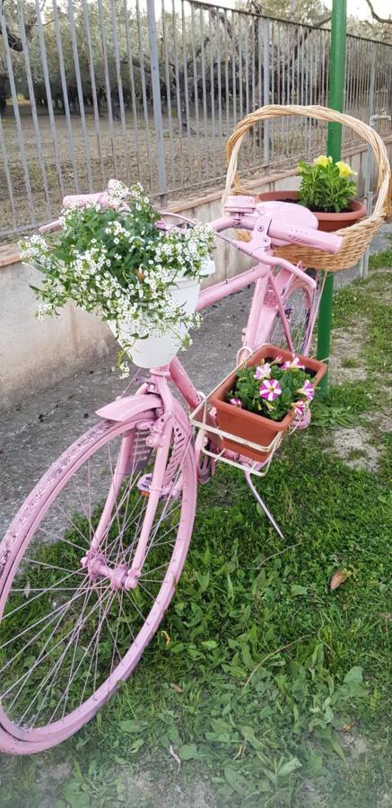 Agriturismo La Mandragola Relais โครโตเน ภายนอก รูปภาพ