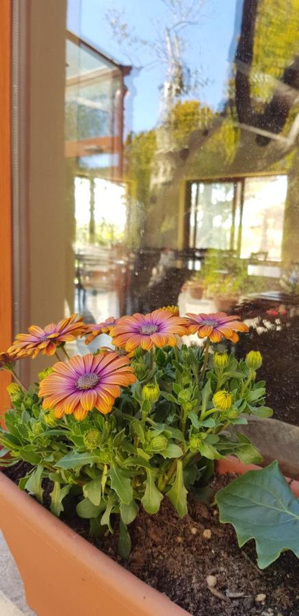 Agriturismo La Mandragola Relais โครโตเน ภายนอก รูปภาพ