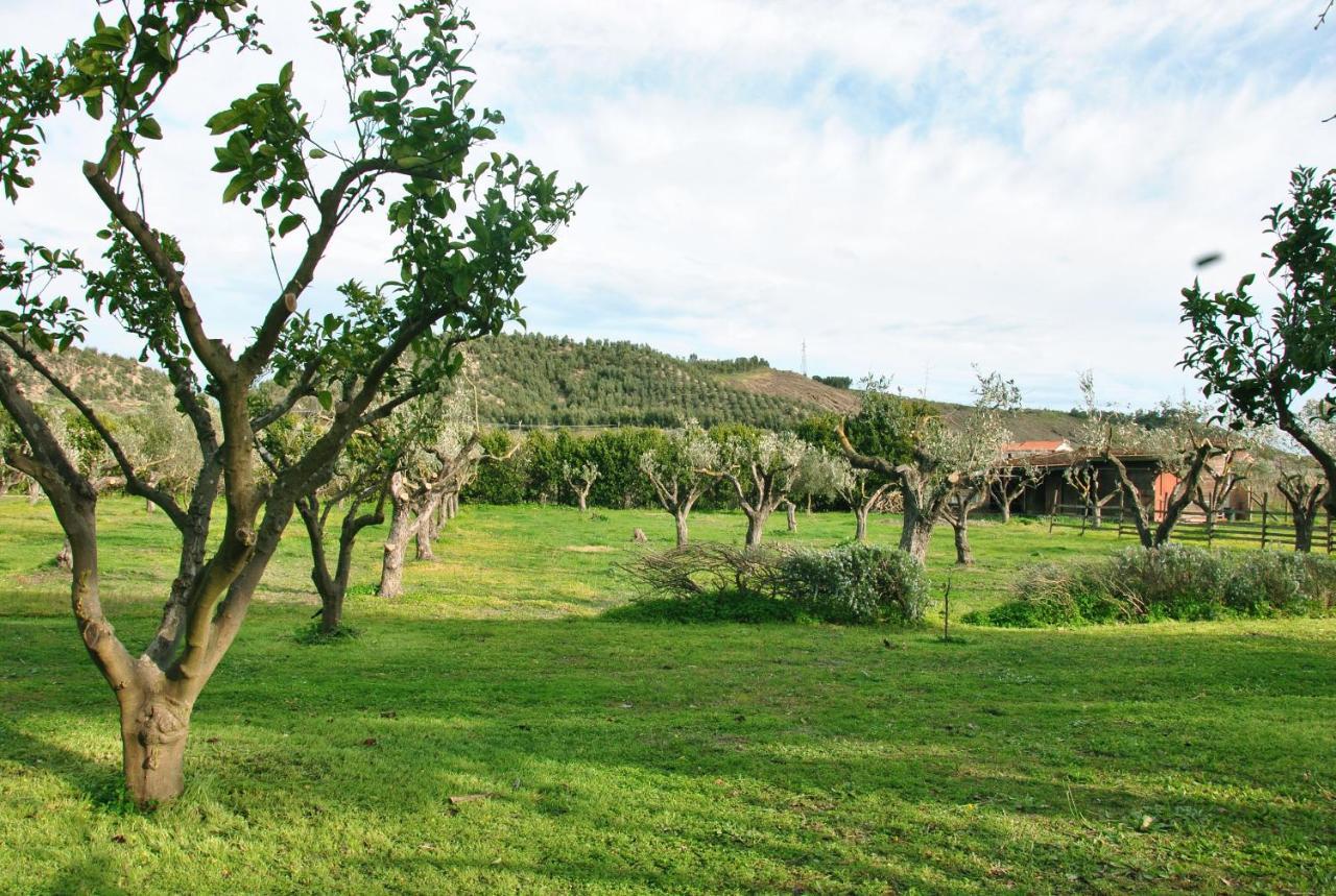 Agriturismo La Mandragola Relais โครโตเน ภายนอก รูปภาพ