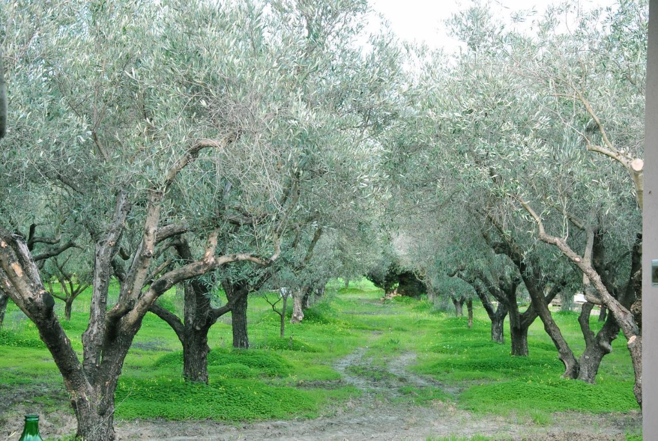 Agriturismo La Mandragola Relais โครโตเน ภายนอก รูปภาพ